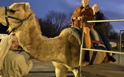 Living Nativity & Camel Rides